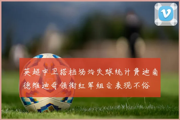 英超中卫搭档场均失球统计费迪南德维迪奇领衔红军组合表现不俗