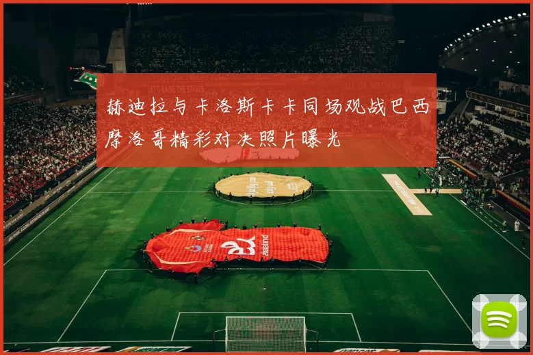 赫迪拉与卡洛斯卡卡同场观战巴西摩洛哥精彩对决照片曝光