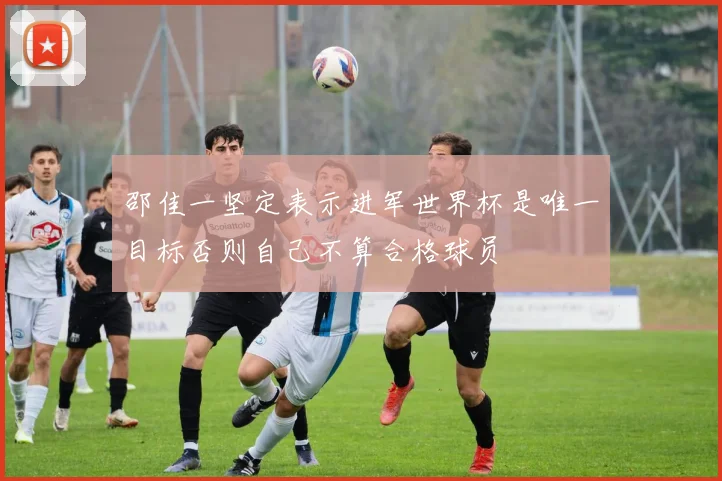 邵佳一坚定表示进军世界杯是唯一目标否则自己不算合格球员