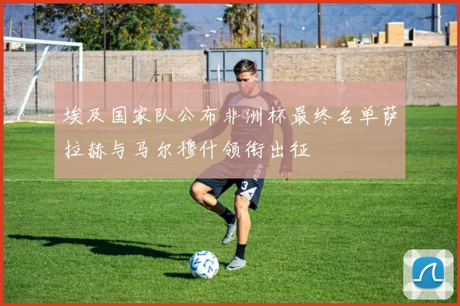 埃及国家队公布非洲杯最终名单萨拉赫与马尔穆什领衔出征