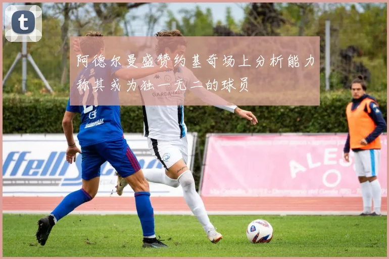 阿德尔曼盛赞约基奇场上分析能力称其或为独一无二的球员